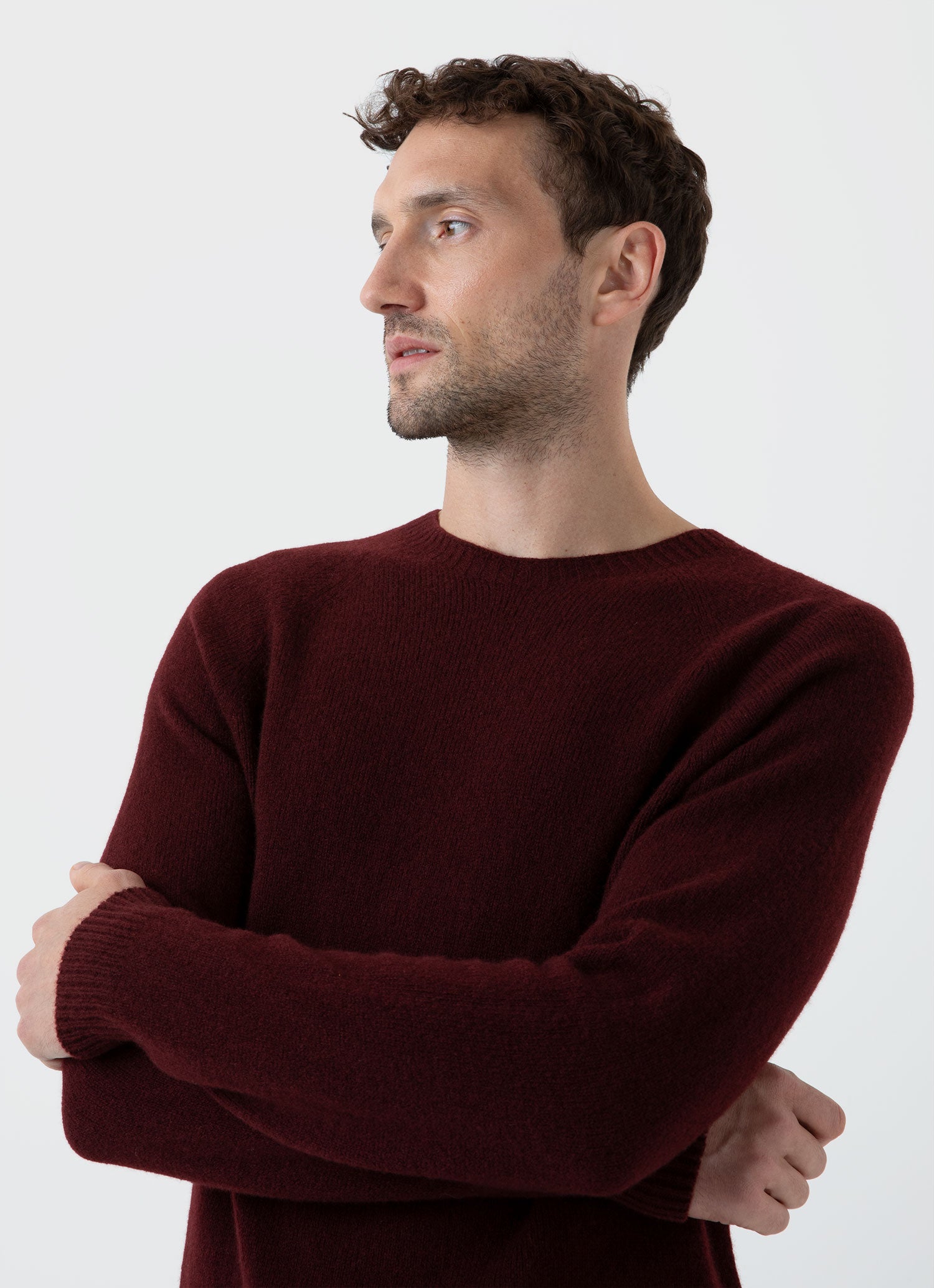 Men's Lambswool Crew Neck Jumper in Port